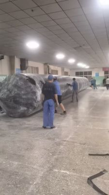 জাহাজ প্রবর্তন এয়ারব্যাগ 1.0m-35m দৈর্ঘ্য একক / ডাবল আর্ম 10-1000 টন ওজন ক্ষমতা জাহাজ নির্মাণ শিল্পের জন্য